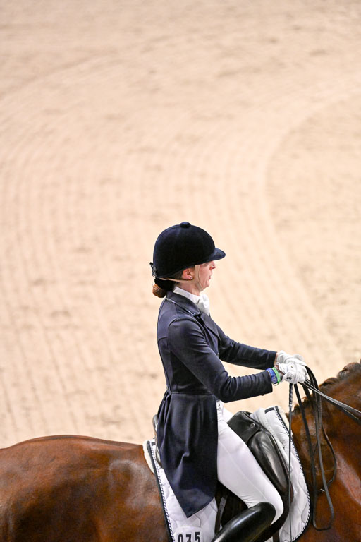  | Dungern, Antonia von - DSP Queen Rubin - BrAnh_13 