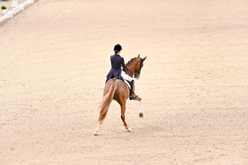  | Dungern, Antonia von - DSP Queen Rubin - BrAnh_25 