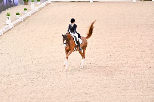  | Dungern, Antonia von - DSP Queen Rubin - BrAnh_28 