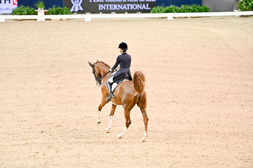  | Dungern, Antonia von - DSP Queen Rubin - BrAnh_29 