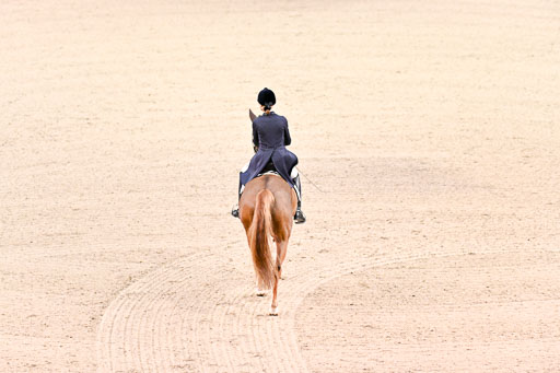  | Dungern, Antonia von - DSP Queen Rubin - BrAnh_31 