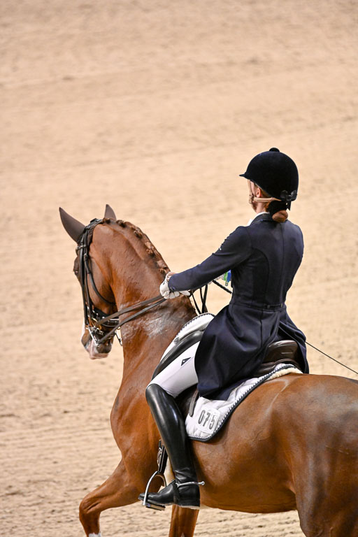  | Dungern, Antonia von - DSP Queen Rubin - BrAnh_32 