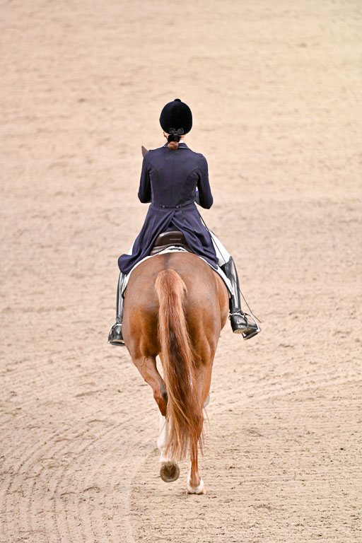  | Dungern, Antonia von - DSP Queen Rubin - BrAnh_33 