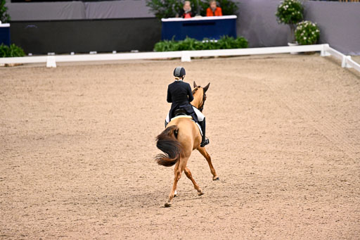  | Kanerva, Emma - Greek - Dt Pf_11 