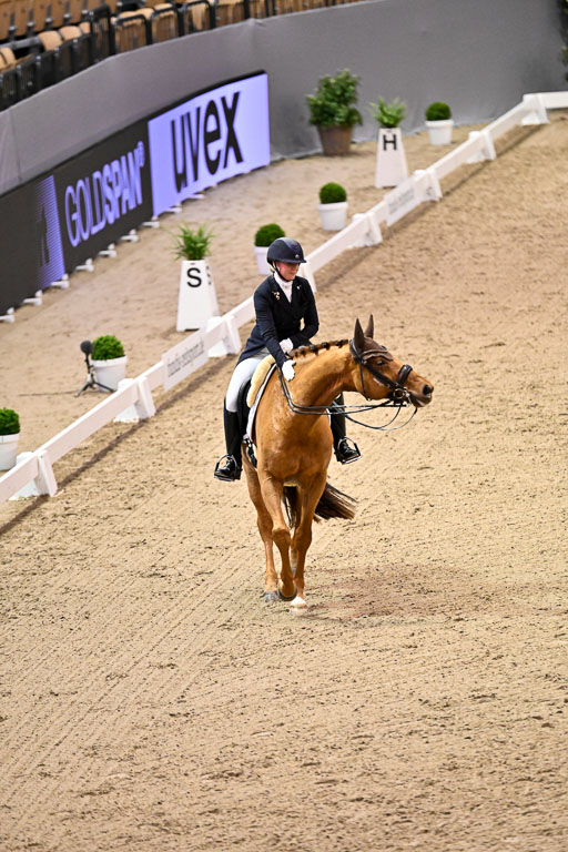 VR Classics Neumünster Dressage