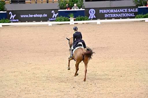  | Müller-Lütkemeier, Fabienne - Valencia As - Westf_25 