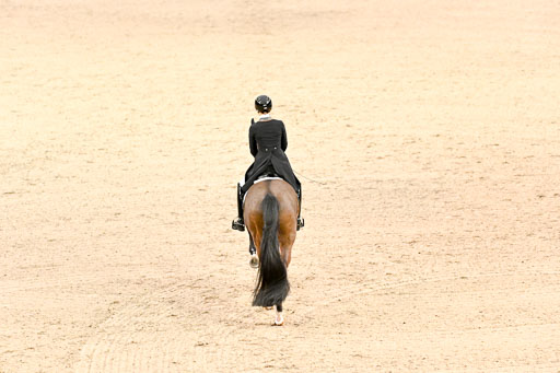  | Nuxoll, Sandra - Bonheur e la vie - KWPN_01 