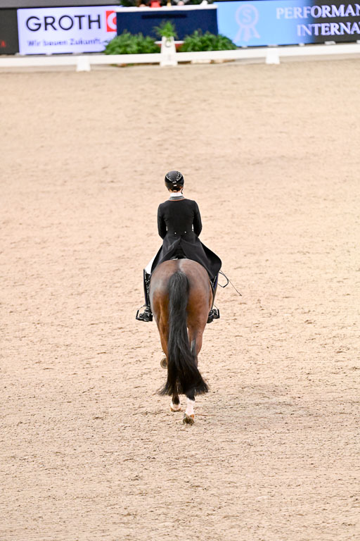  | Nuxoll, Sandra - Bonheur e la vie - KWPN_02 