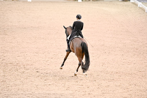  | Nuxoll, Sandra - Bonheur e la vie - KWPN_05 