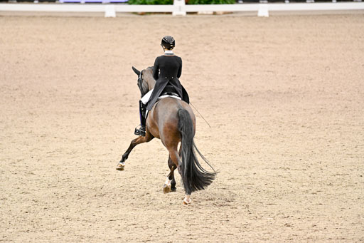  | Nuxoll, Sandra - Bonheur e la vie - KWPN_06 