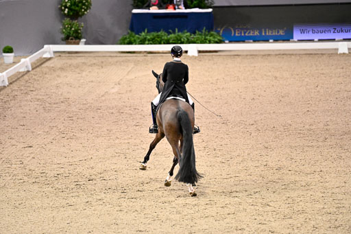  | Nuxoll, Sandra - Bonheur e la vie - KWPN_08 