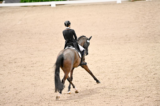  | Nuxoll, Sandra - Bonheur e la vie - KWPN_09 