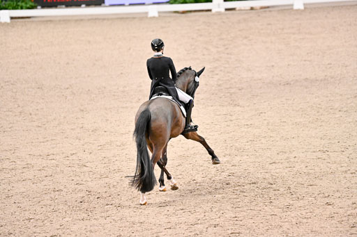  | Nuxoll, Sandra - Bonheur e la vie - KWPN_10 