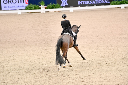  | Nuxoll, Sandra - Bonheur e la vie - KWPN_11 