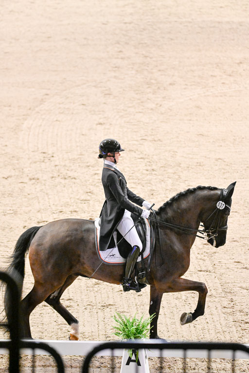  | Nuxoll, Sandra - Bonheur e la vie - KWPN_12 