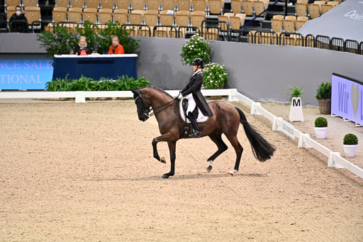  | Nuxoll, Sandra - Bonheur e la vie - KWPN_13 