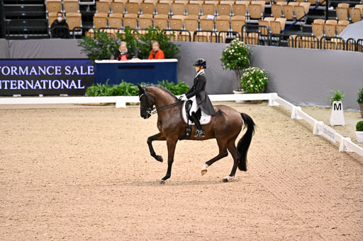  | Nuxoll, Sandra - Bonheur e la vie - KWPN_14 