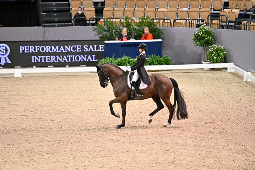  | Nuxoll, Sandra - Bonheur e la vie - KWPN_15 