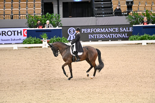  | Nuxoll, Sandra - Bonheur e la vie - KWPN_17 