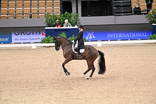  | Nuxoll, Sandra - Bonheur e la vie - KWPN_19 