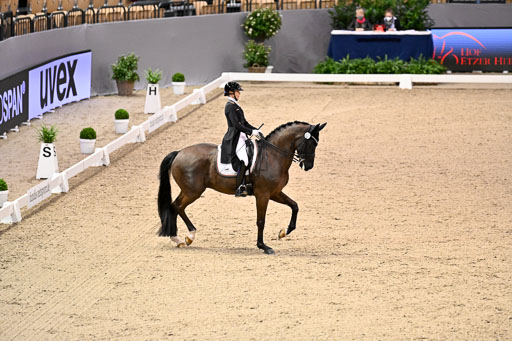  | Nuxoll, Sandra - Bonheur e la vie - KWPN_21 