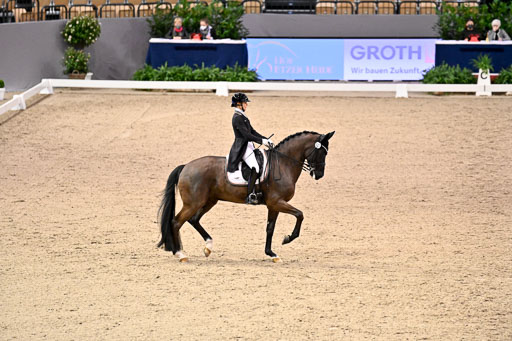  | Nuxoll, Sandra - Bonheur e la vie - KWPN_22 