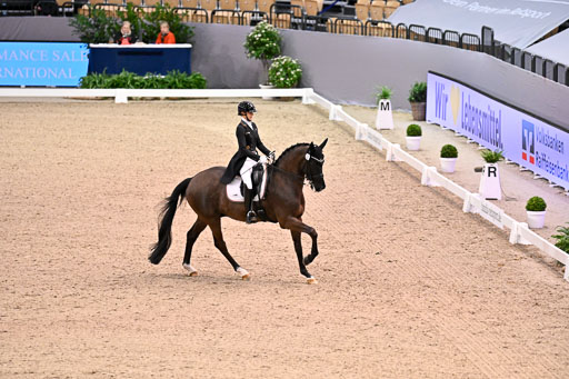  | Nuxoll, Sandra - Bonheur e la vie - KWPN_24 