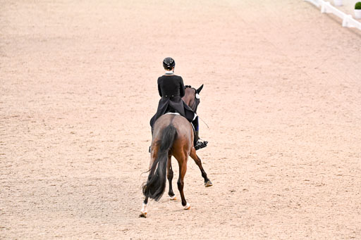  | Nuxoll, Sandra - Bonheur e la vie - KWPN_25 