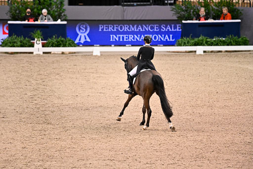  | Nuxoll, Sandra - Bonheur e la vie - KWPN_26 