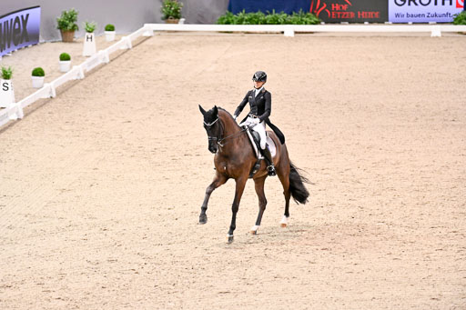  | Nuxoll, Sandra - Bonheur e la vie - KWPN_27 