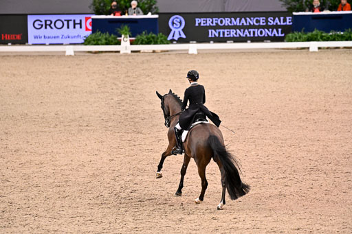  | Nuxoll, Sandra - Bonheur e la vie - KWPN_29 