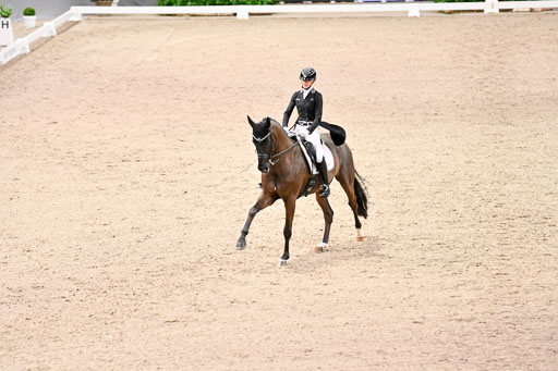  | Nuxoll, Sandra - Bonheur e la vie - KWPN_30 