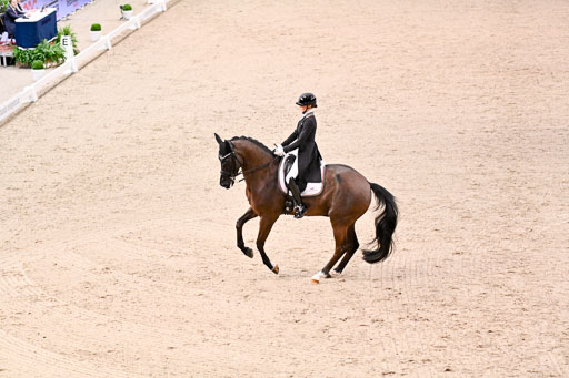  | Nuxoll, Sandra - Bonheur e la vie - KWPN_31 