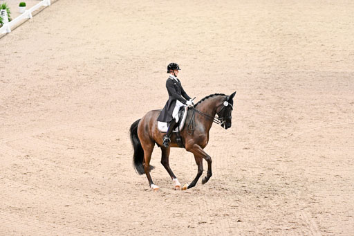  | Nuxoll, Sandra - Bonheur e la vie - KWPN_32 