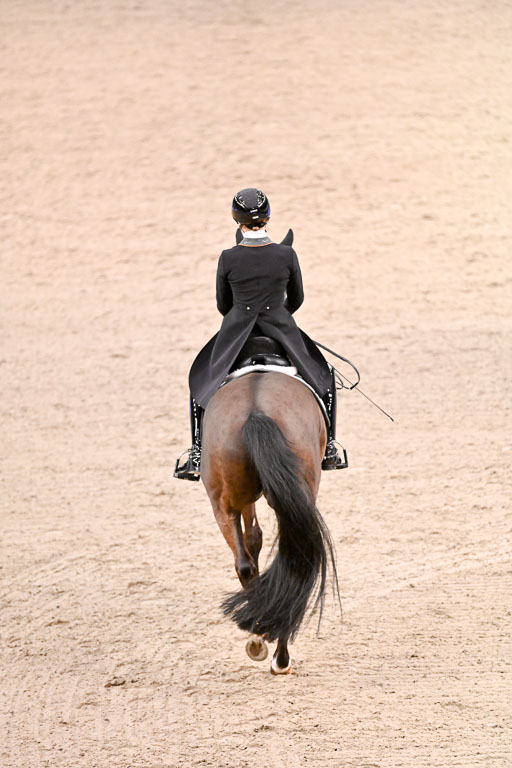  | Nuxoll, Sandra - Bonheur e la vie - KWPN_35 