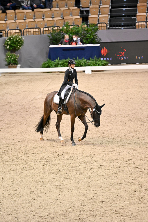  | Nuxoll, Sandra - Bonheur e la vie - KWPN_36 