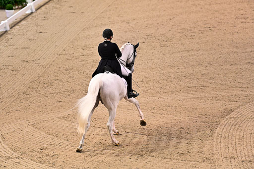  | Rathjens, NInja - Emilio 111 - Hann _20 