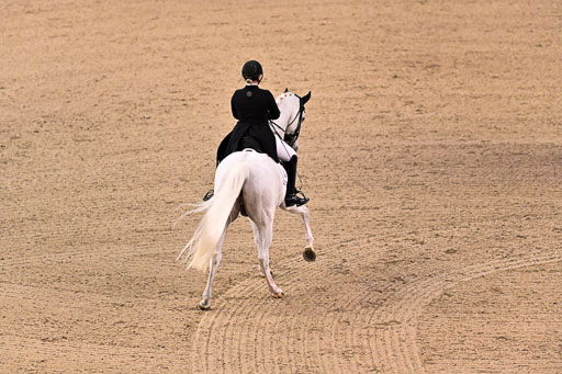  | Rathjens, NInja - Emilio 111 - Hann _21 