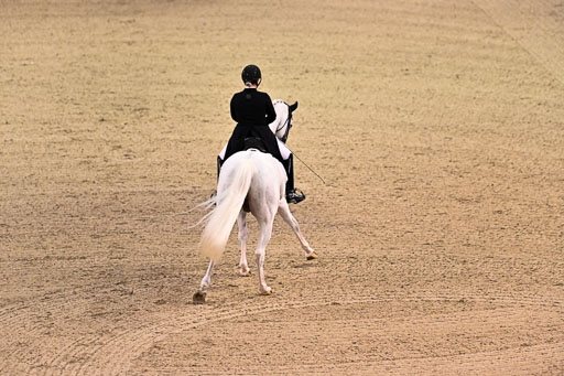  | Rathjens, NInja - Emilio 111 - Hann _22 