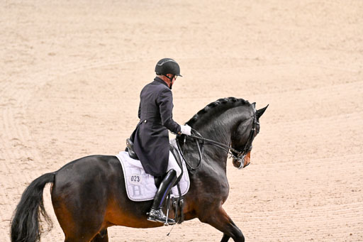  | Schwiebert, Rainer - Helenenhofs Catoo - Holst 