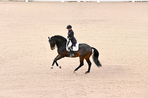  | Schwiebert, Rainer - Helenenhofs Catoo - Holst_03 