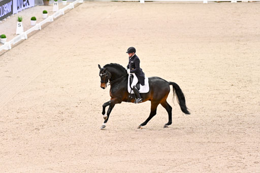  | Schwiebert, Rainer - Helenenhofs Catoo - Holst_04 