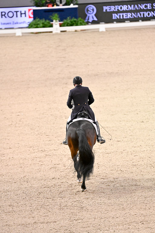  | Schwiebert, Rainer - Helenenhofs Catoo - Holst_06 