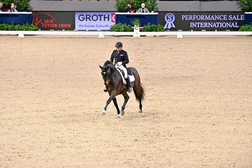  | Schwiebert, Rainer - Helenenhofs Catoo - Holst_08 