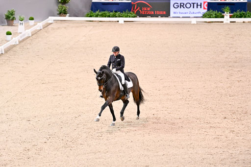  | Schwiebert, Rainer - Helenenhofs Catoo - Holst_09 