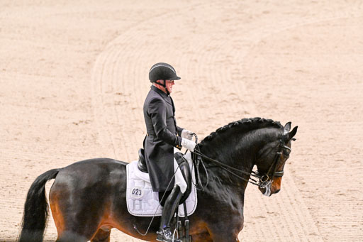  | Schwiebert, Rainer - Helenenhofs Catoo - Holst_10 