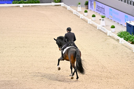  | Schwiebert, Rainer - Helenenhofs Catoo - Holst_11 