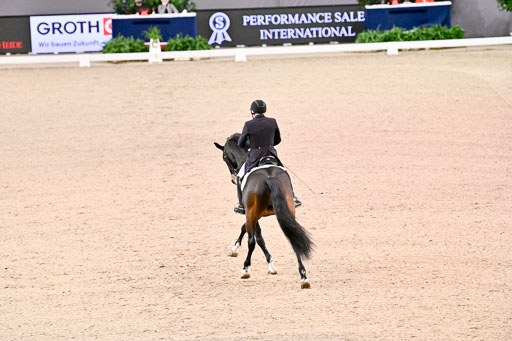  | Schwiebert, Rainer - Helenenhofs Catoo - Holst_12 