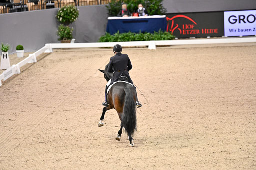  | Schwiebert, Rainer - Helenenhofs Catoo - Holst_14 