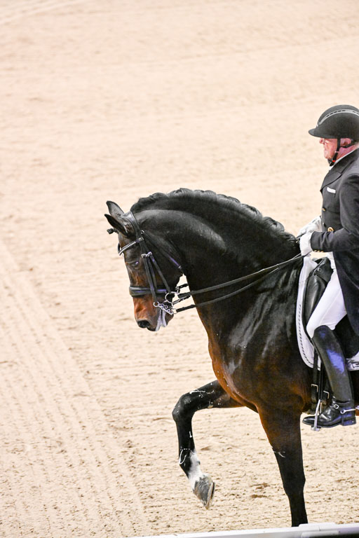  | Schwiebert, Rainer - Helenenhofs Catoo - Holst_15 